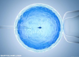 张蓝之主任